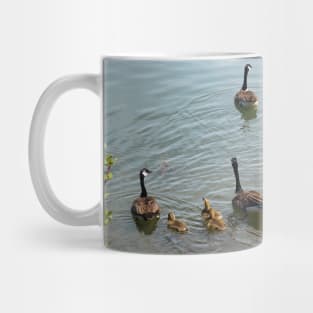 Family Of Canada Geese Swimming In The Water Mug